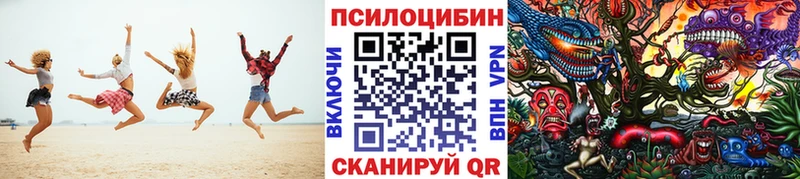 kraken ссылки  Ростов  Псилоцибиновые грибы Psilocybe  закладка 